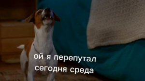 пов: школа