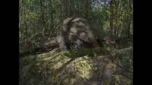 жуковлянские валуны