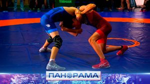 ⚡️«Кубок мужества»: турнир по вольной борьбе в Донецке! Кому посвятили соревнования?