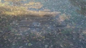 Про тулупчик. Стихи и видеомонтаж мои. Музыка - Георг Филипп Телеман