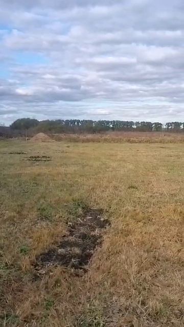 зем.участок Дачная 51