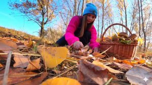 ЭТО СОН?РЫБАЛКА ПОШЛА НЕ ПО ПЛАНУ.. рыбалка и сбор грибов осенью