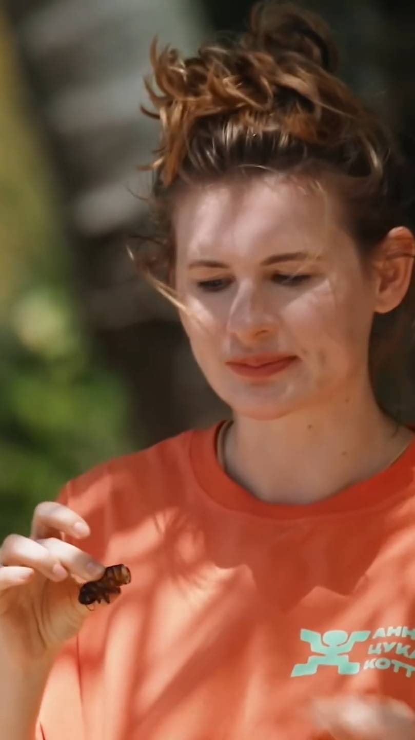 Мечтала попробовать тараканов на вкус