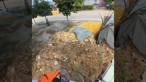 Погоня мотоциклиста за собакой