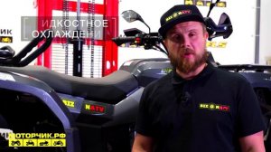 Квадрицикл Bizon YK450A (ПТС)