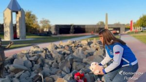 ВОЛОНТЁРЫ ПОБЕДЫ #ТОПЫКАТЕГОРИЙ