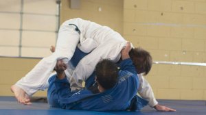 День дзюдо. Такое утро