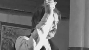 Буревестник