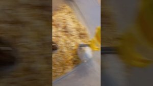 хомяки три испытания.mp4