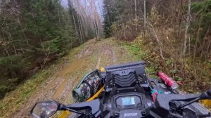 Все пошло не по плану, Стелс Гепард на 30-х колесах решил все, Роман расстроен , катка в 100км