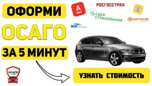 осаго по вин
