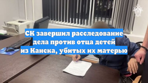 СК завершил расследование дела против отца детей из Канска, убитых их матерью