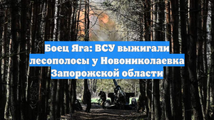 Боец Яга: ВСУ выжигали лесополосы у Новониколаевка Запорожской области