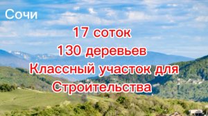 Классный участок для строительства в Сочи ! 17 соток. 130 деревьев. Виды.