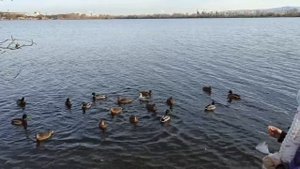 Не большая прогулка в парке у Вечного огня