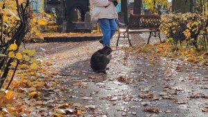 Поездка в Санкт-Петербург - Октябрь 2025