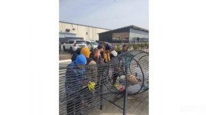 Экологическая акцию от «Движения Первых»!