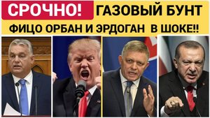 Трамп в ШОКЕ! Венгрия Турция и Словакия на грани ГРАНДИОЗНОГО ШУЗЕРА! Отказ от Газа из РФ