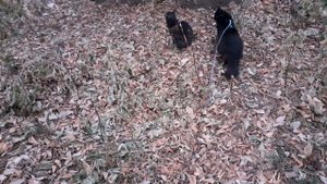 На прогулке.