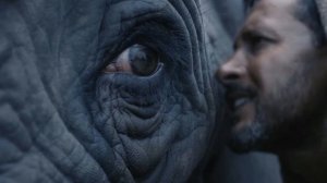 Коран Сура 105 аль-Филь - Слон