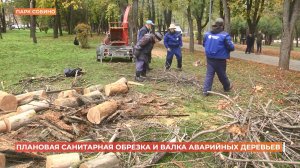 В трех ростовских парках начались плановая санитарная обрезка и спил аварийных деревьев