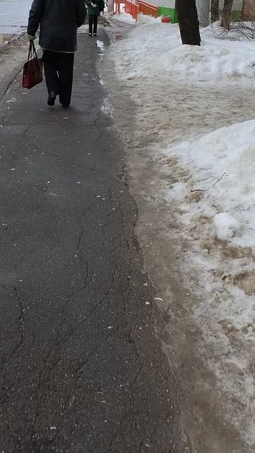 №265. ул. Белинского. 14 марта 2025 г., 14:37:51. VID_20250314_143532583