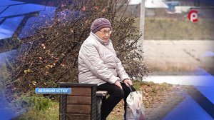 Всемирный день бабушек и дедушек