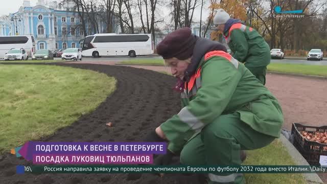Подготовка к весне началась! В Петербурге высаживают тюльпаны