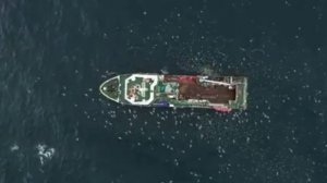 Российский промысел-2025: планка 4 млн тонн преодолена