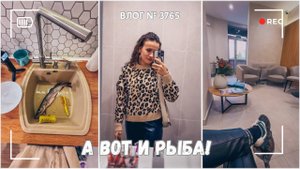 Рыба подъехала | УЗИ щитовидки | Каникулы начались  -  ВЛОГ №3765 - 28.10.25