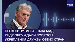 Песков: Путин и глава МИД КНДР обсуждали вопросы укрепления дружбы обеих стран