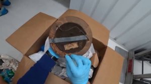 АУКЦИОН КОНТЕЙНЕРОВ В США - Дорогой оружейный склад, птица в клетке, антиквариат.