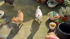 Солнышко порадовало, с мячиками поиграли.