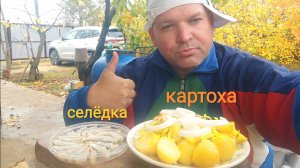 МУКБАНГ картошка с селёдкой/ОБЖОР на даче