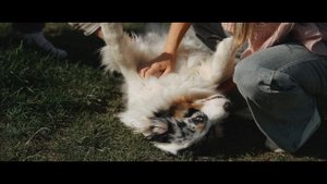 Промо Баден-Баден