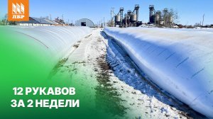 Упаковали 12 рукавов зерна за 2 недели в Азовском районе