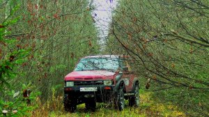 Ближний металлокоп. Недоступны места, поля. Поиск металла на лесозаготовке 1940-1950Г