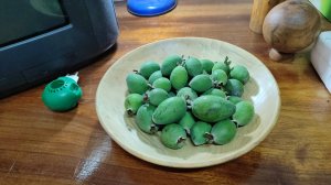 Эпик фейл и исправление последствий.  Или ремонт сломанного резца. Изготовление тарелки из магнолии