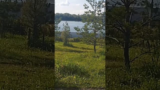 Наша веложизнь. Катались в центре по набережной