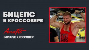 ФЕДОРОВ: Формирующее на Бицепс Impulse IT95