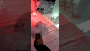 Прогулка перед💠🥱😴💠