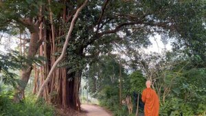 День из жизни лесного монастыря Анандагири