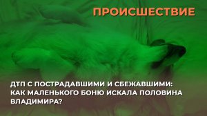 ДТП с пострадавшими и сбежавшим: как маленького Боню искала половина Владимира?