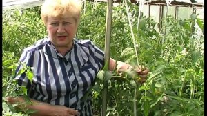 Дачная жизнь, выпуск №18 (Ирина Александровна Голубкина). 2004 г.