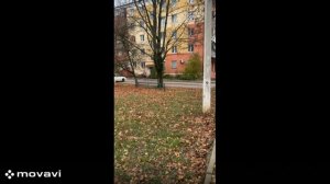 Продажа комнаты в общежитии