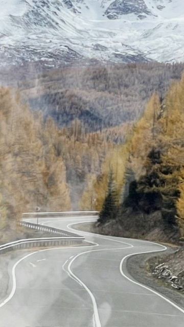 Бог посылает животных всем, но только избранные видят в них не зверей, а детей.