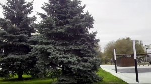 Оренбург Конец  октября…Fausto Papetti - Райская мелодия Видео Виктор Поживин