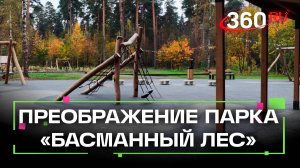 Завершилось благоустройство лесопарка «Банный лес» в Красноармейске