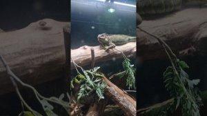 Зоологический музей МГУ, Москва 2025 год