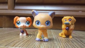 лпс популяр эпизод 11